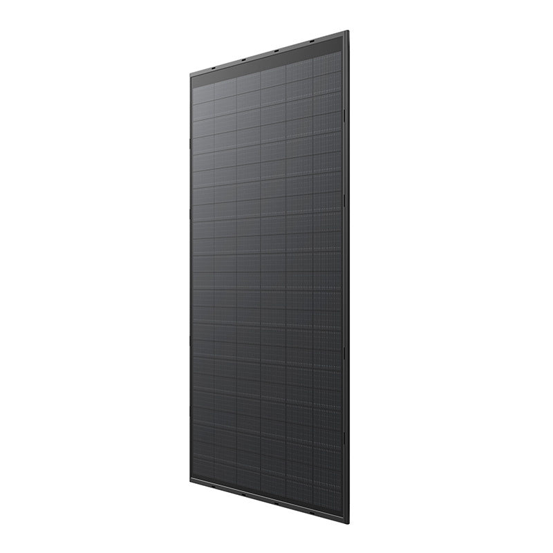 EcoFlow 250W zonnepaneel (rigide) — set
