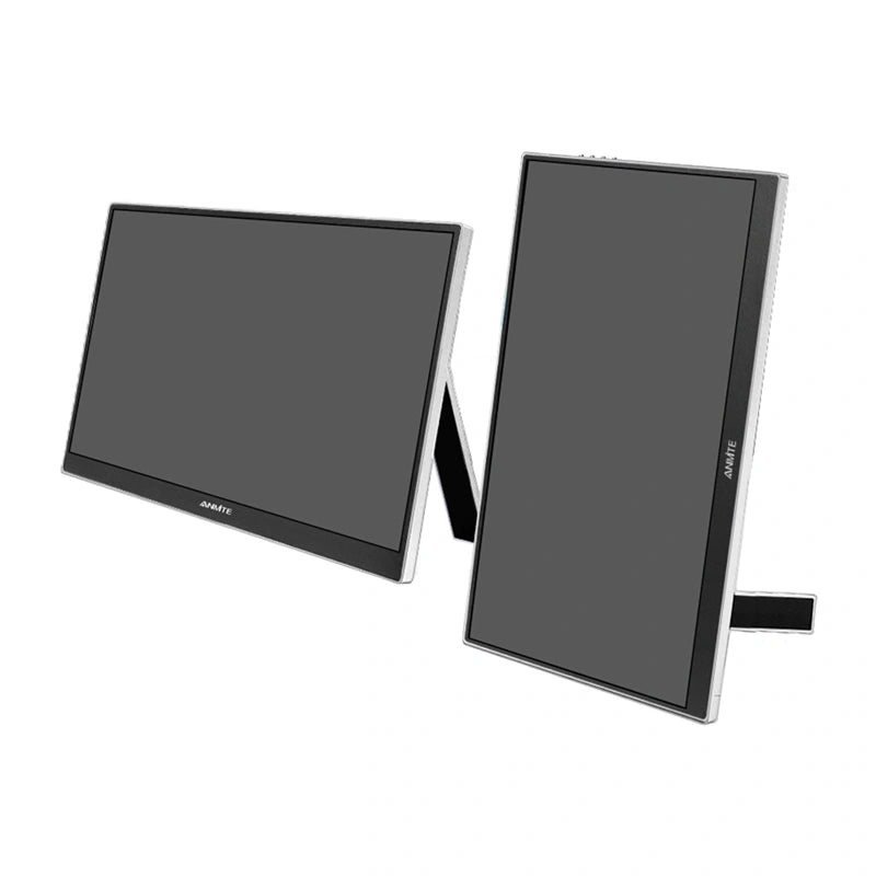ANMITE A160W04 draagbare monitor 16"