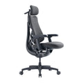 LiberNovo Omni GEN ergonomische bureaustoel 48 cm (grafiet) – elektrische lendensteun, S-Curve, 105-160°