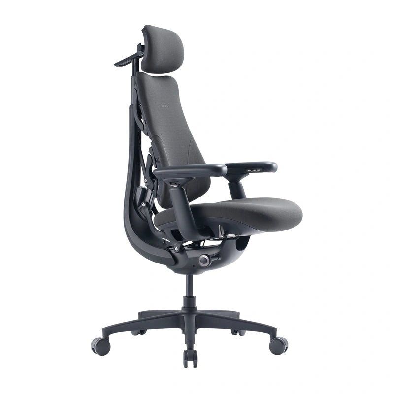 LiberNovo Omni GEN ergonomische bureaustoel 48 cm (grafiet) – elektrische lendensteun, S-Curve, 105-160°