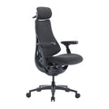 LiberNovo Omni Pro ergonomische bureaustoel 48 cm (grafiet)